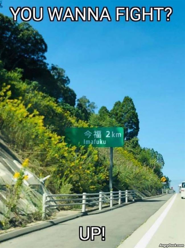 Do You Want To Fight