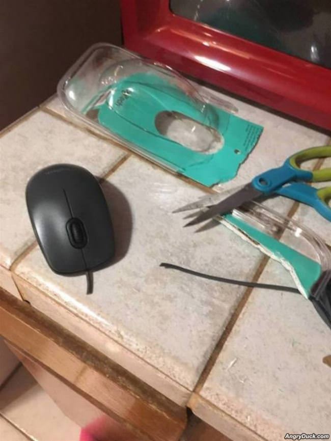 Got My New Mouse Open