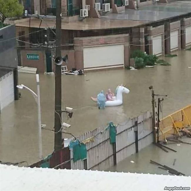 The Best Of A Bad Situation