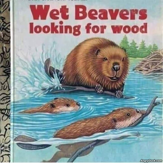 Wet Beavers