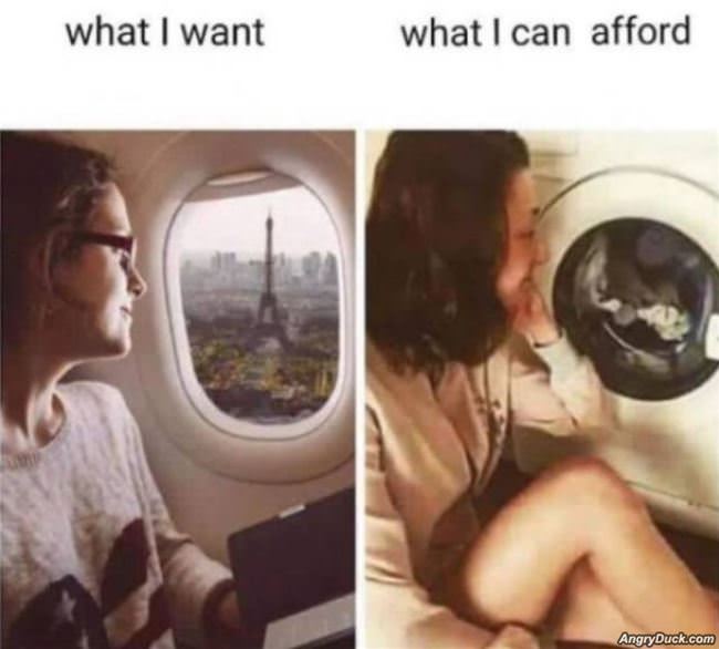 What I Want