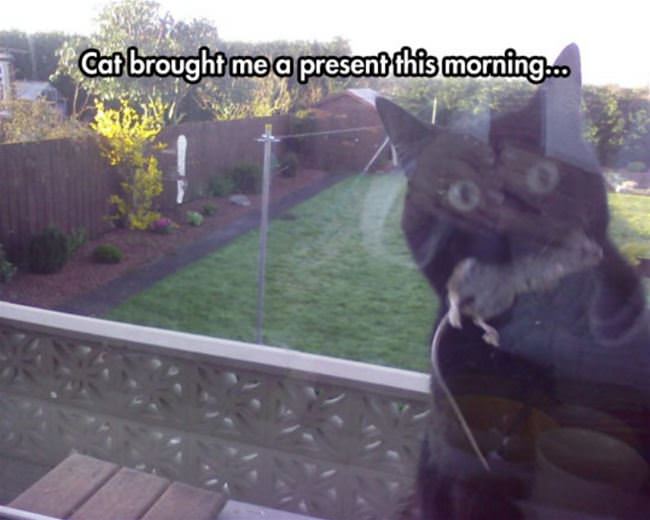 Brought Me A Present