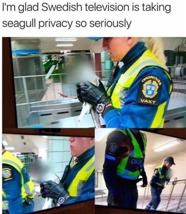 They Need Privacy