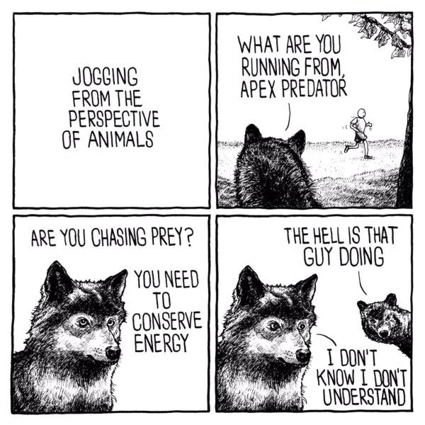 A Different Perspective