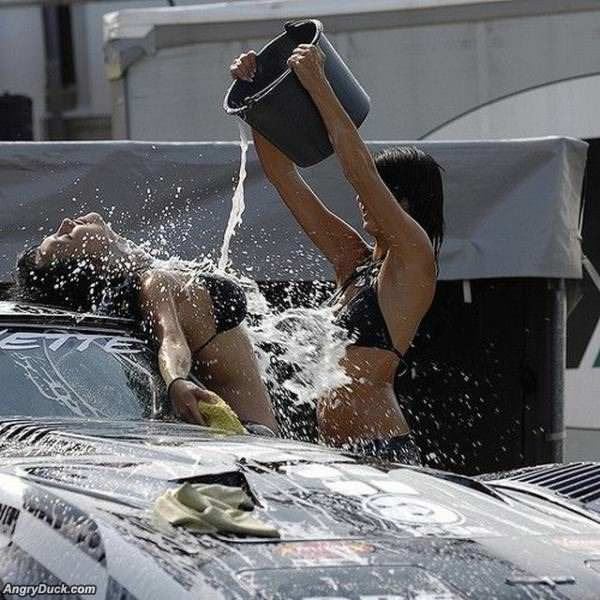 An Expert Car Wash