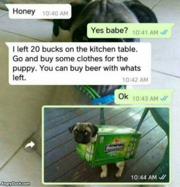 By Some Clothes For The Puppy