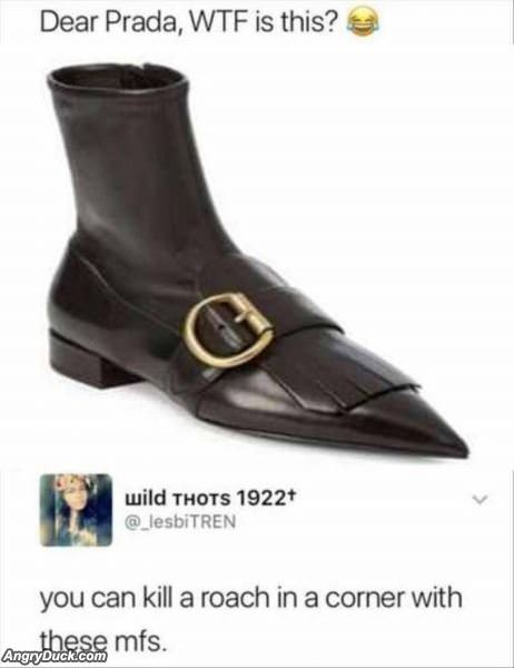 Dear Prada Wtf Is This