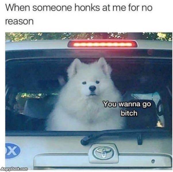 Do Not Honk At Me