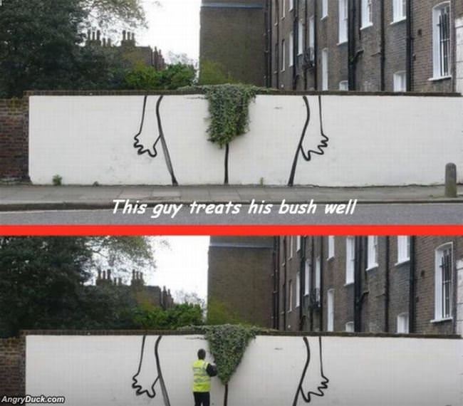 He Treats It Well