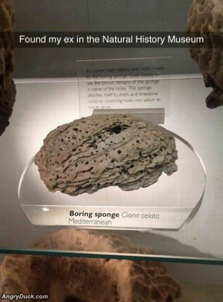 I Found My Ex