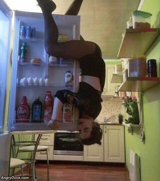 I Want This Fridge To Love Me