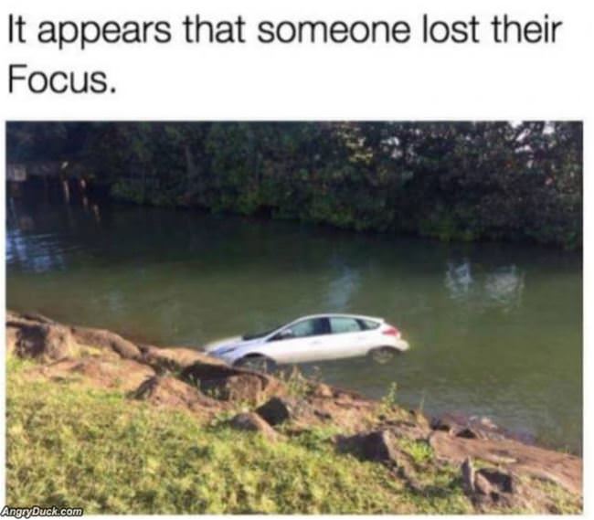 Lost Their Focus