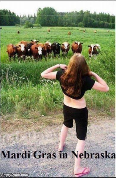 Mardi Gras In Nebraska