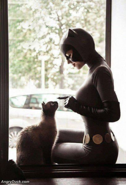Meow
