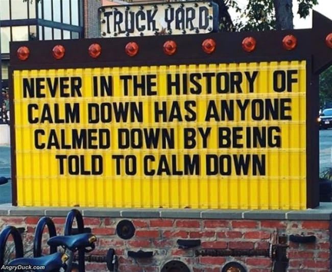 Never In The History Of Calm Down