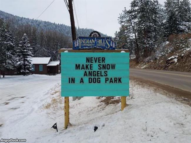 Never Make Snow Angels In A Dog Park