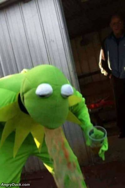 Oh Kermit