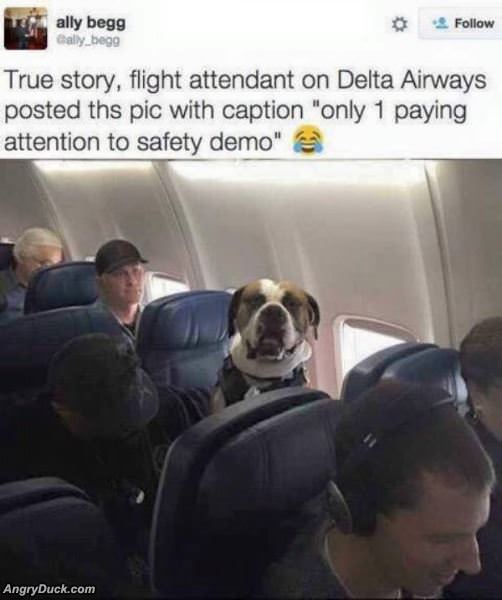 Only Person Paying Attention