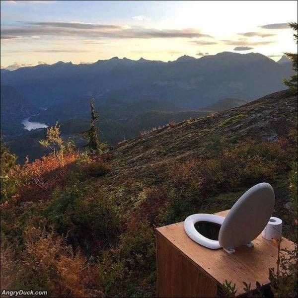 Quite A View