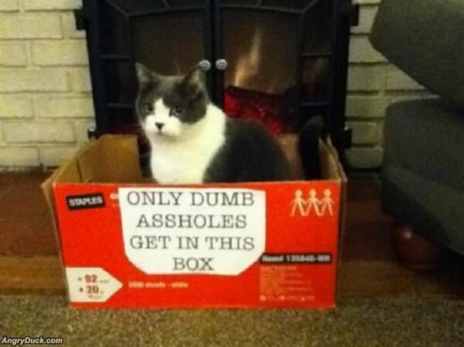 Special Reserved Box