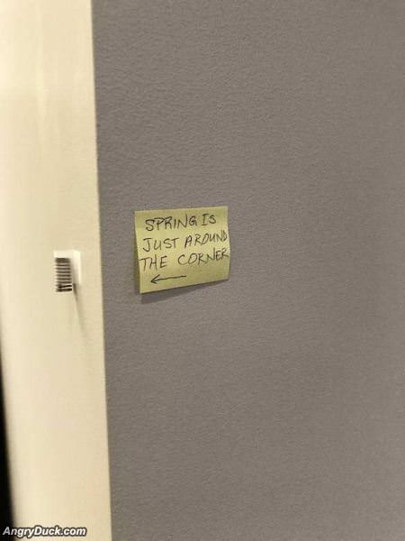 Spring Is Right Around The Corner