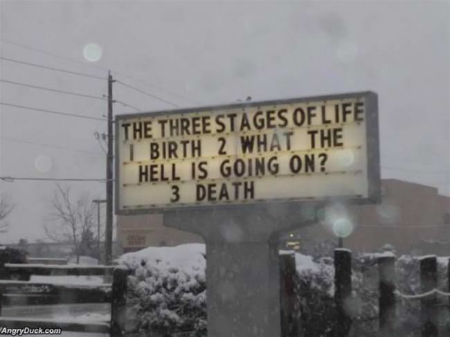 The 3 Stages Of Life