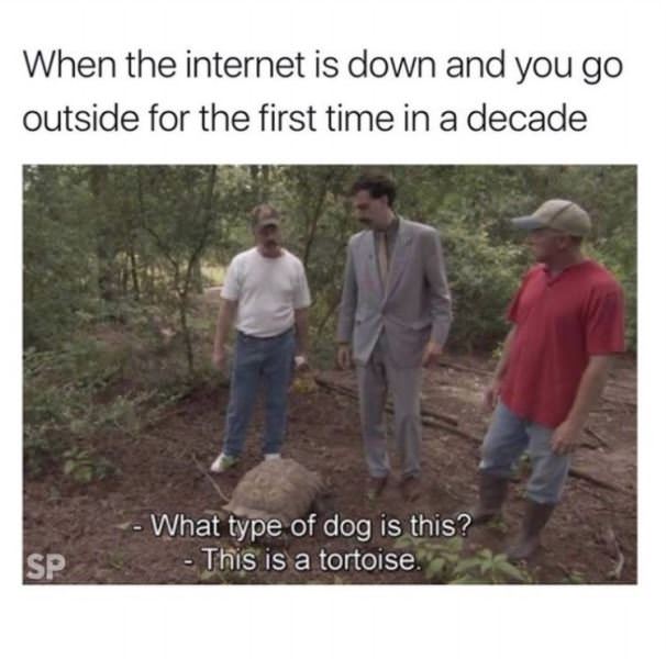 The Internet Is Down