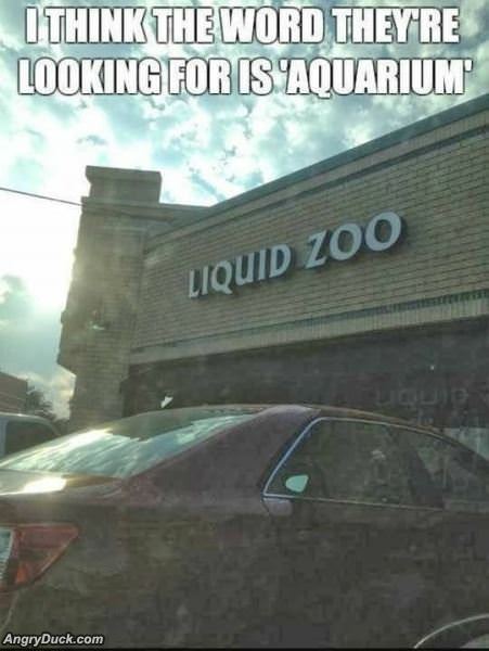 The Word They Are Looking For