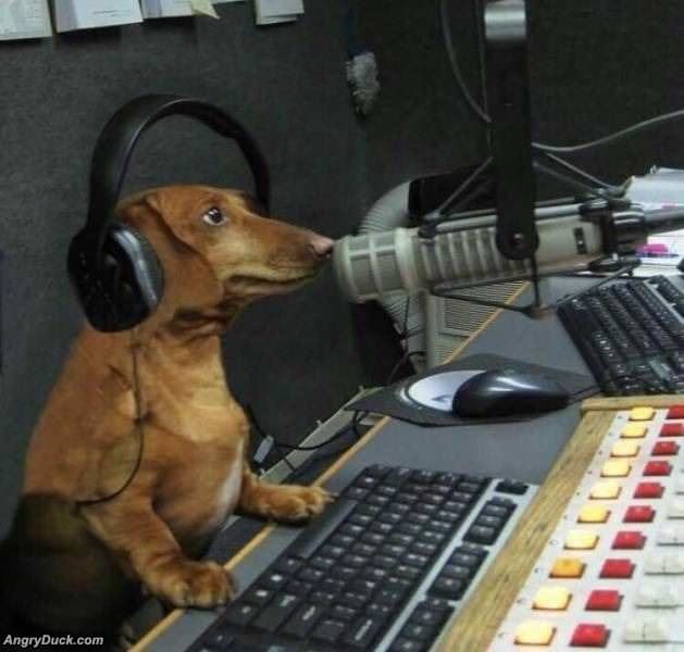 This One Is For My Bitches