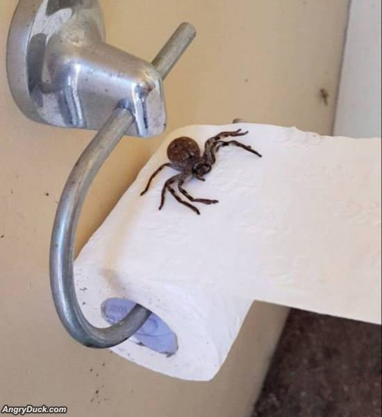 This Will Be A Nope