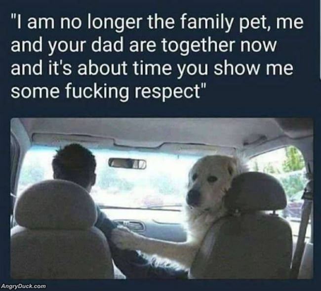 Time You Show Me Some Respect