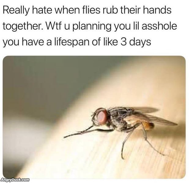 What Are You Planning