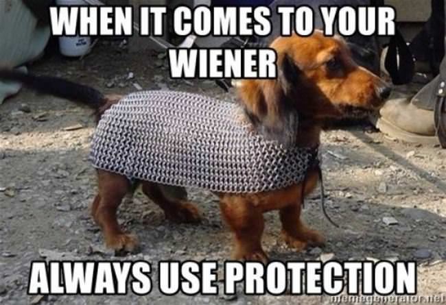 Your Wiener