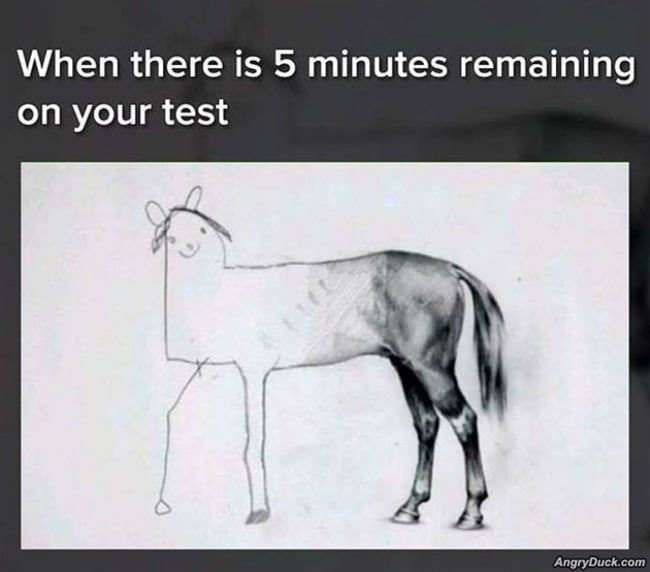 5 Minutes Remaining On Your Test