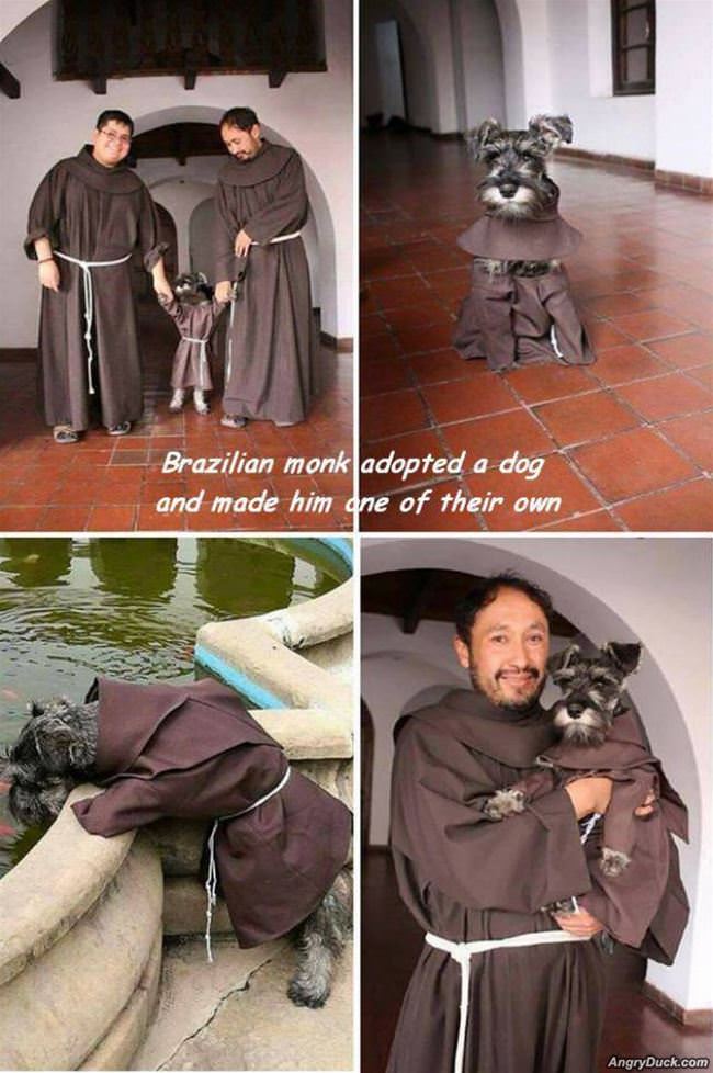 Brazilian Monk And His Dog
