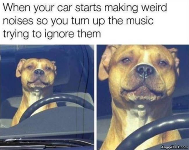 Car Starts Making Noises