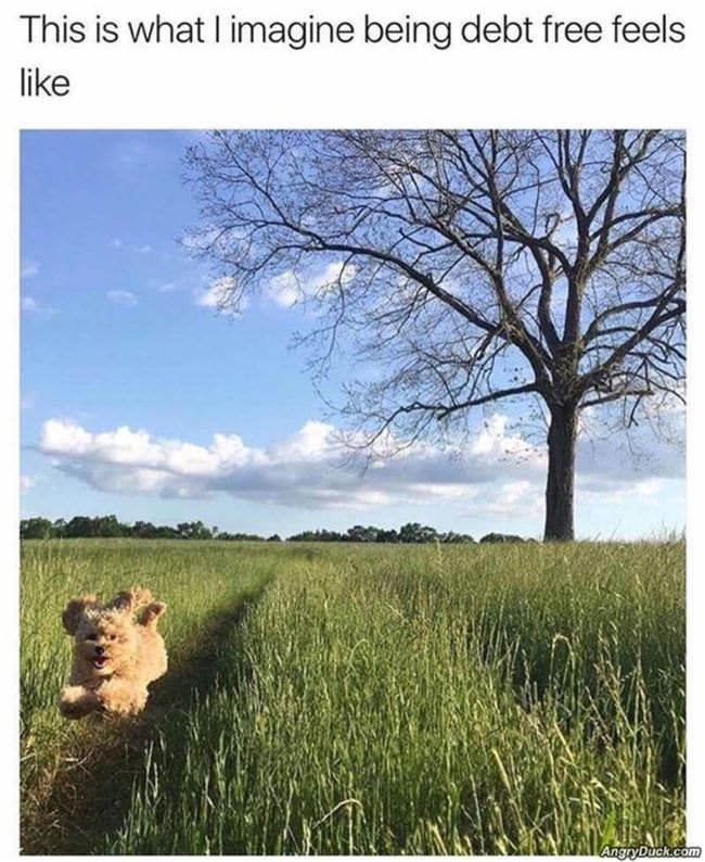 Debt Free Feels Like