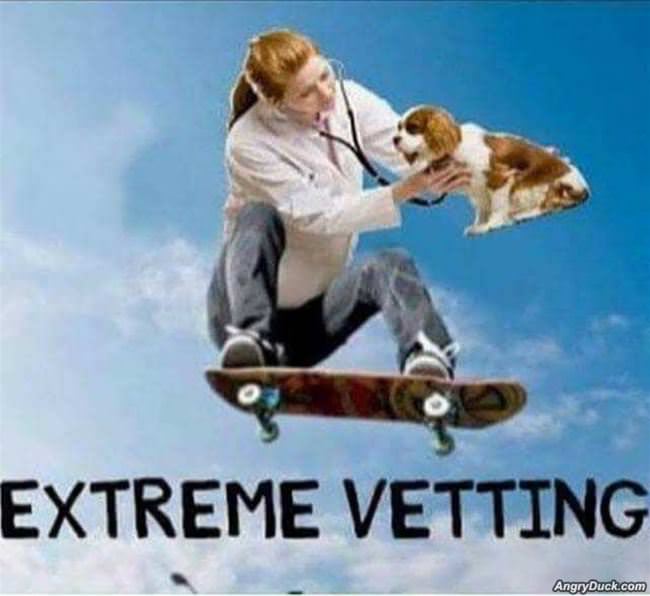 Extreme Vetting