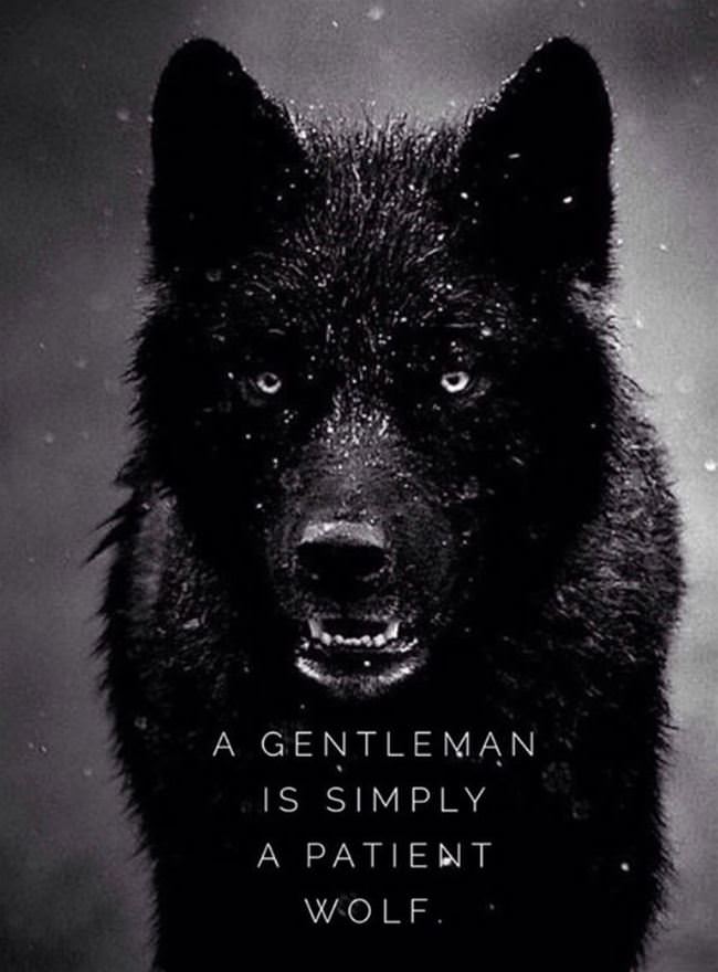 Gentleman