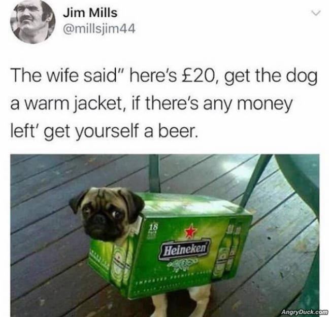 Get The Dog A Coat