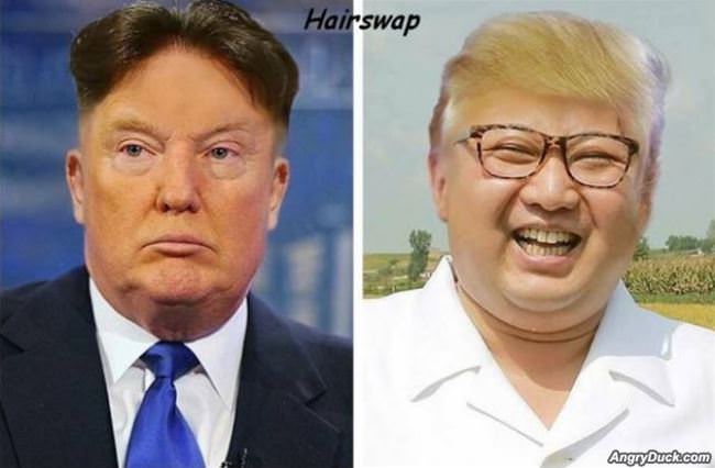 Hairswap