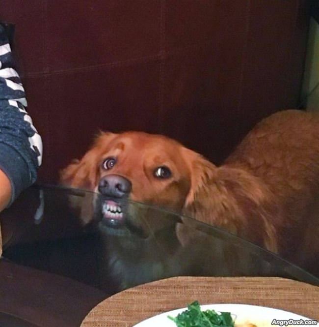 Hey Guys Can I Have A Snack