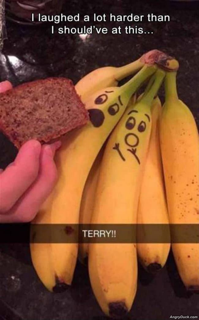 Laughed Harder Than I Should Have