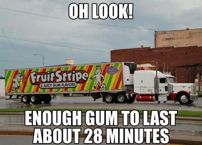Look At All That Gum