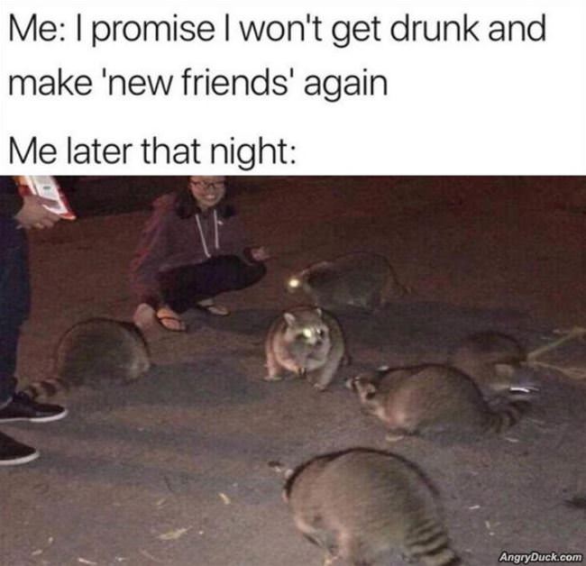 Making Some New Friends
