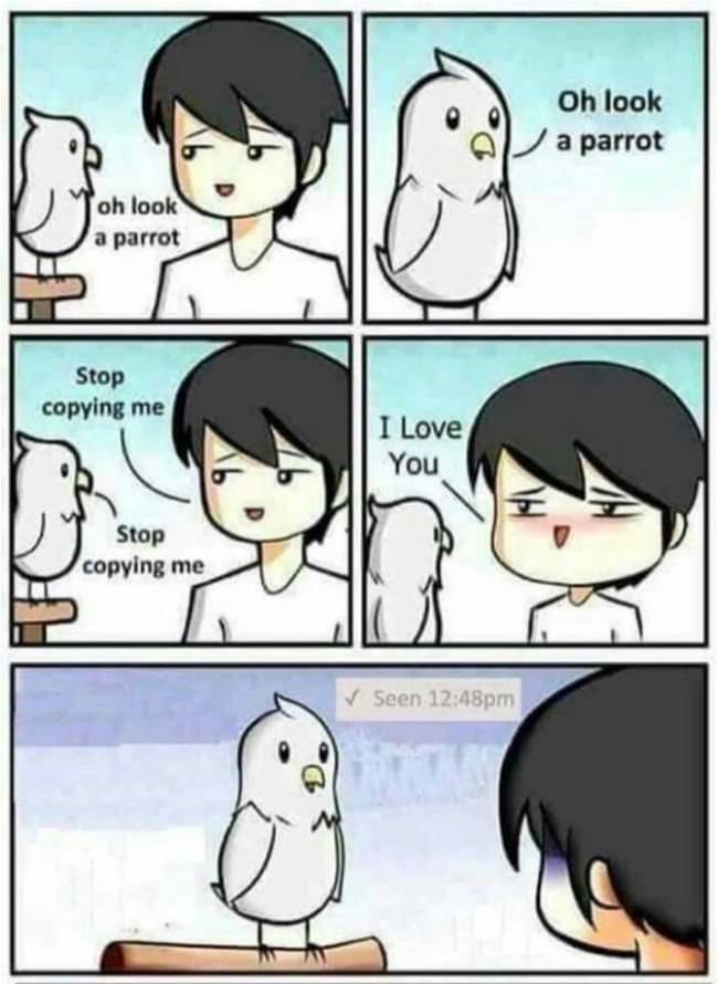 Oh Look A Parrot