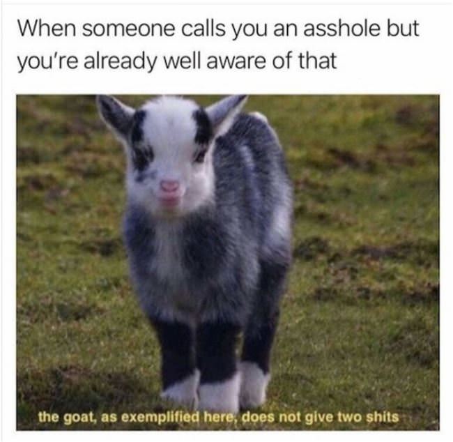 Someone Calls You An Asshole