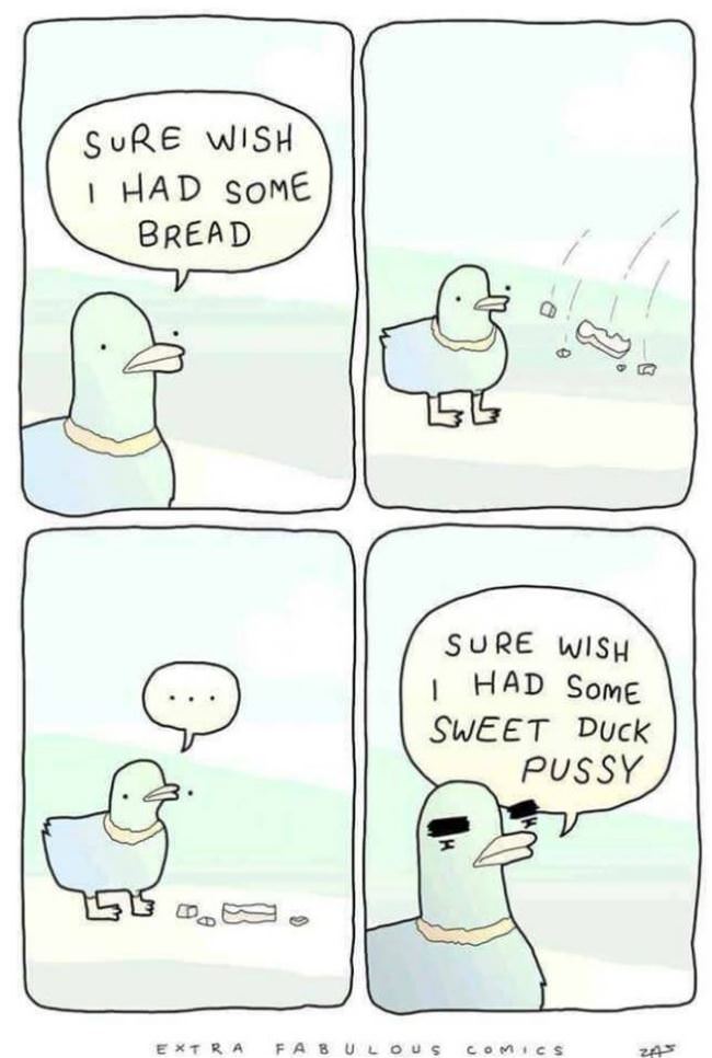 This Duck Wants It All