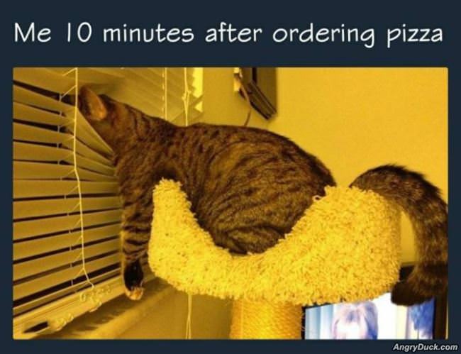 When Ordering A Pizza