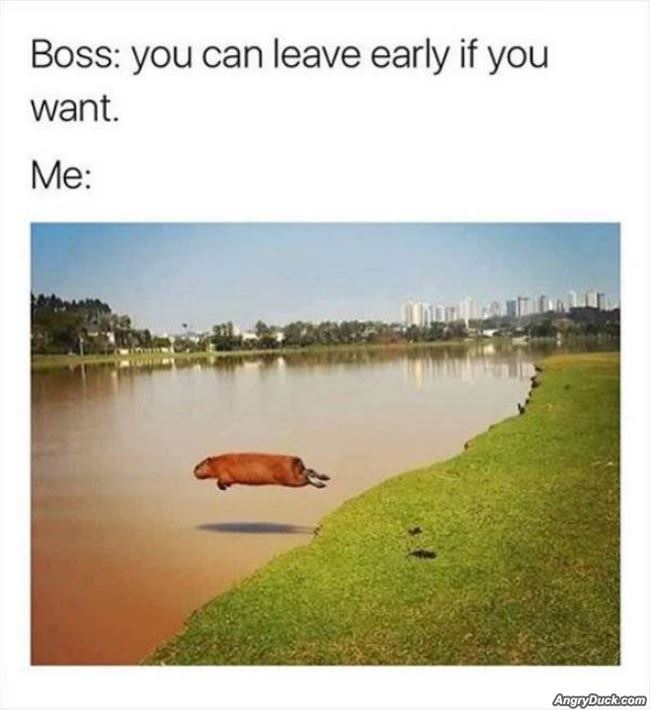 You Can Leave Early